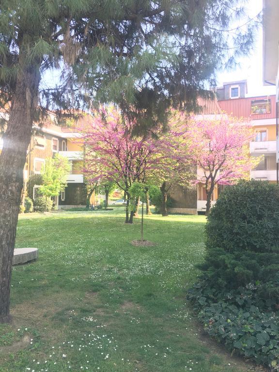 Il Contrabbasso Cremona Exterior photo